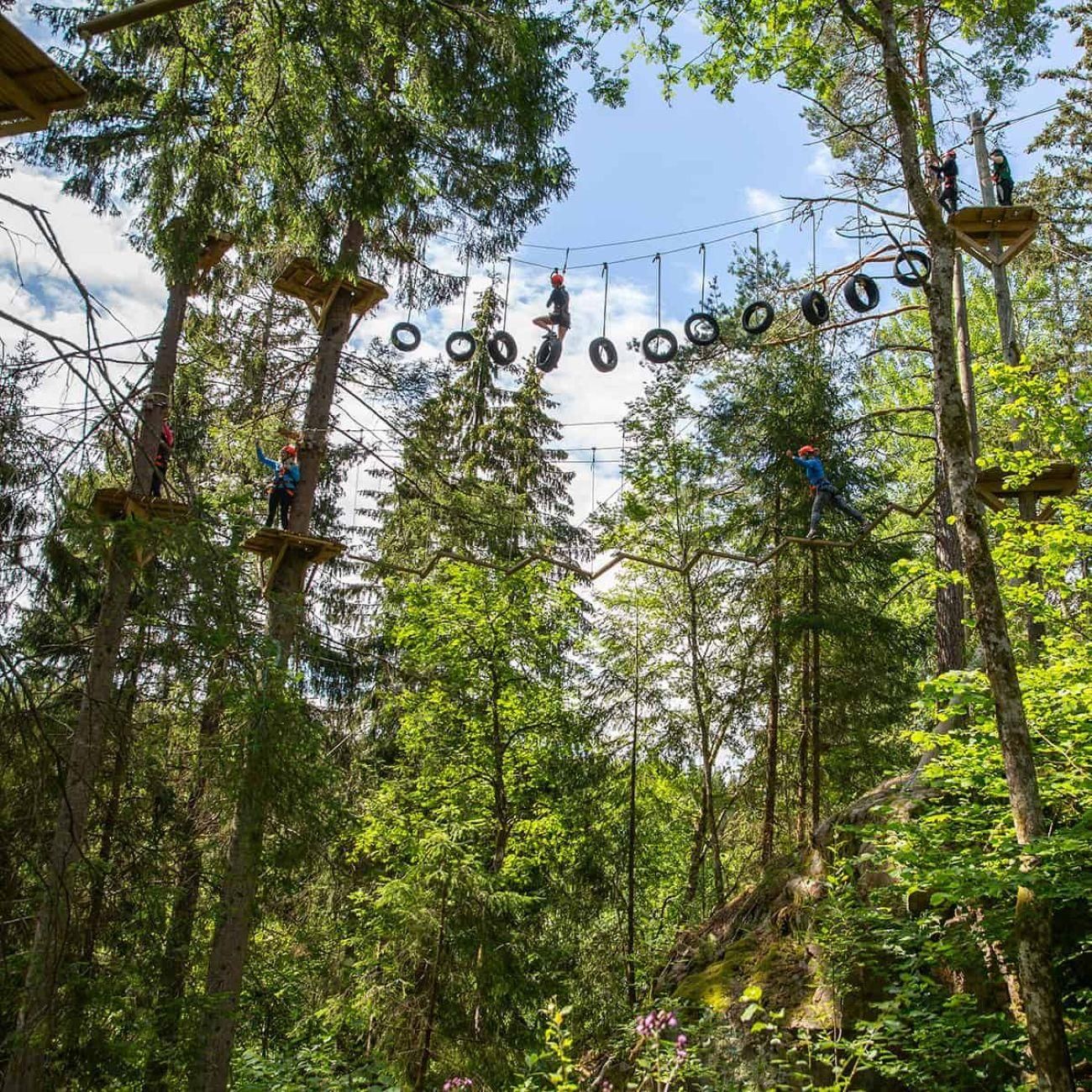 Dals Långed: Hochseilgarten für Erwachsene und Kinder