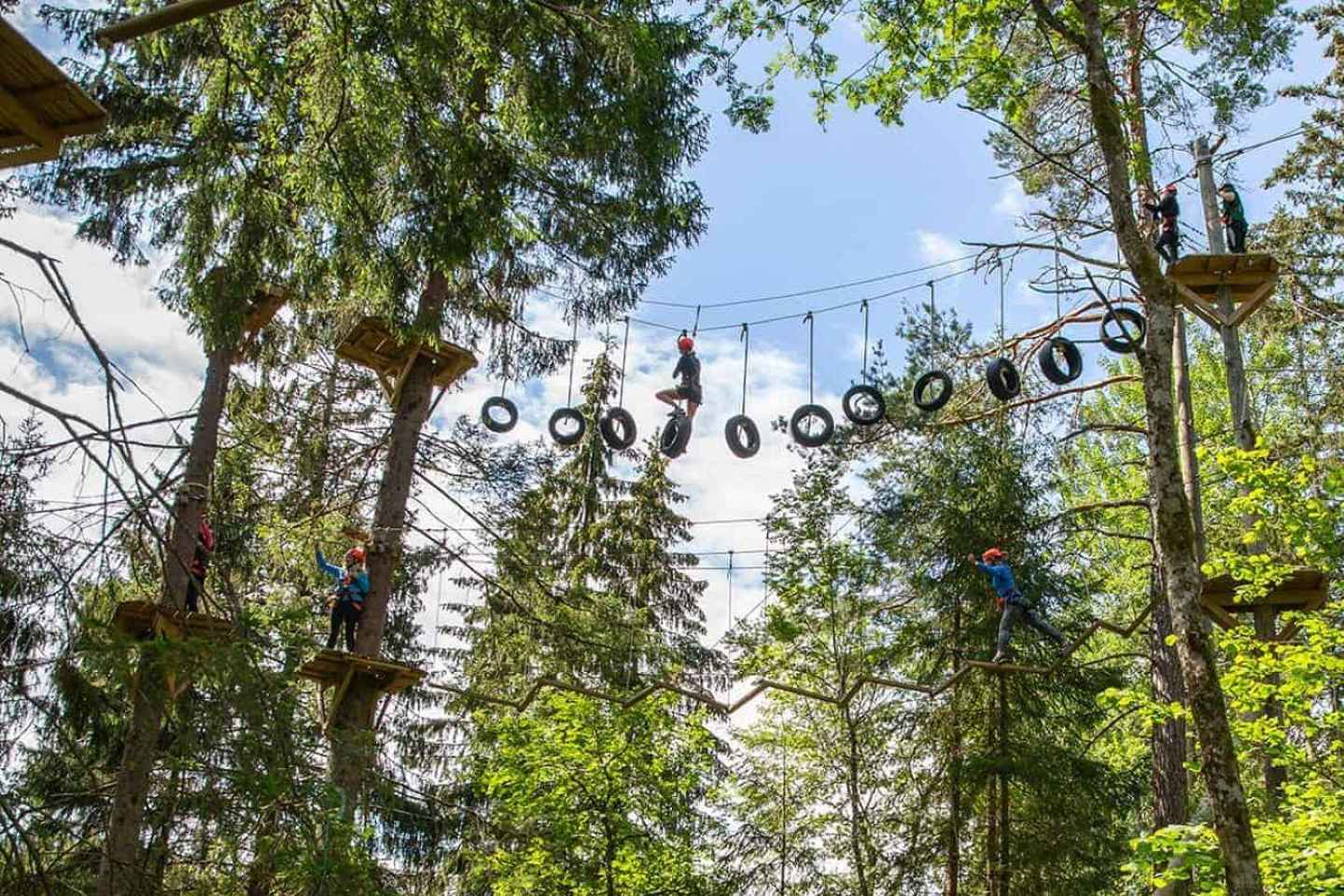 Dals Långed: High Ropes Adventure for Adults and Kids