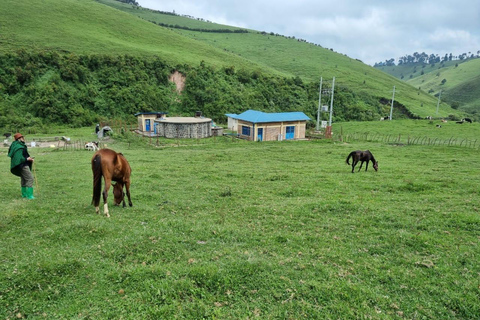 From Kigali: Bigogwe Cow Experience, Hiking & farm with Meal