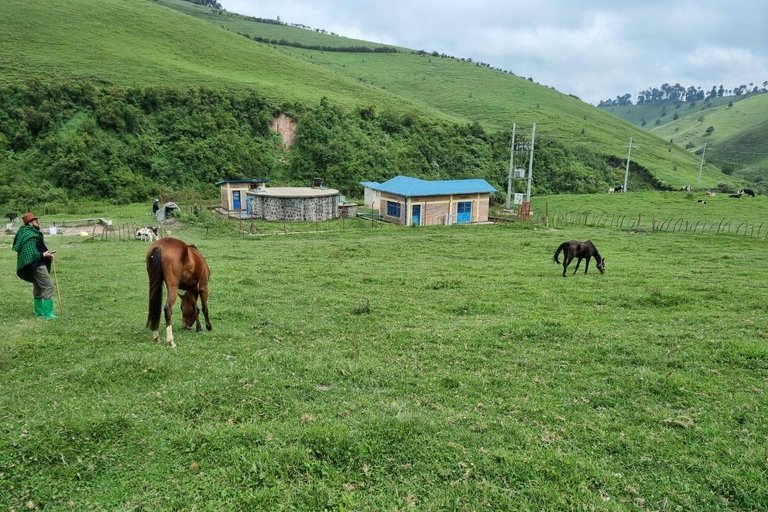 From Kigali: Bigogwe Cow Experience, Hiking & farm with Meal