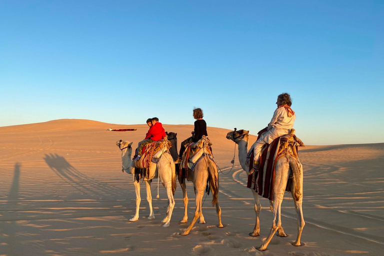 From Cairo: 4x4 Desert Safari, Waterfalls & Magic Lake Shared Tour: Wadi El Rayan, Magic Lake & Lake Qarun, Jeep