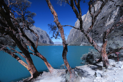 Huaraz : Journée complète Lagune 69 + Lagune Llanganuco