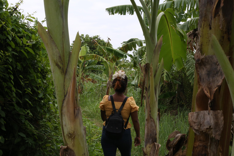 Maak etherische olie met een dorpsherbalist in de buurt van Phnom PenhMaak etherische olie met een kruidendokter in een dorpje bij Phnom Penh