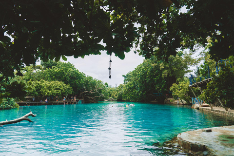Port Vila: Taste, See and Swim Full Day Adventure in Vanuatu Taste, See and Swim Full Day Adventure in Vanuatu