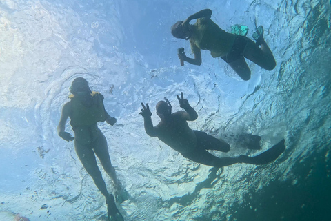 Fort Lauderdale: esnórquel, kayak y surf de remo con arrecifes y esculturasFort Lauderdale: Snorkel, Kayak &amp; SUP w/Reefs &amp; Sculptures