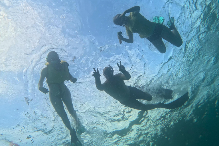 Fort Lauderdale: esnórquel, kayak y surf de remo con arrecifes y esculturasFort Lauderdale: Snorkel, Kayak &amp; SUP w/Reefs &amp; Sculptures