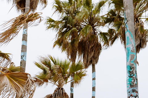 Los Angeles: Private Professional Vacation Photoshoot 30-Minute Los Angeles Photoshoot