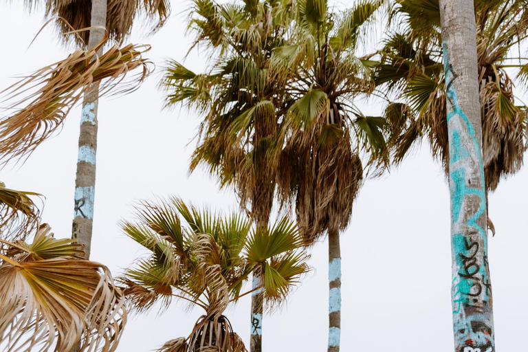 Los Angeles: Private Professional Vacation Photoshoot 30-Minute Los Angeles Photoshoot