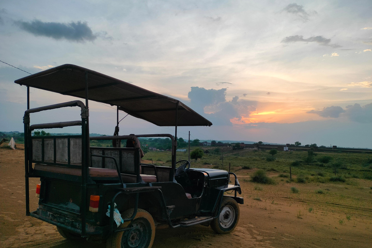 DESERT SAFARI CAMP OSIAN: safari jeepem i na wielbłądzie