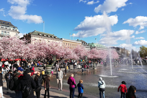 Stockholm: Art, Architecture & Design Tour 私人中文导游