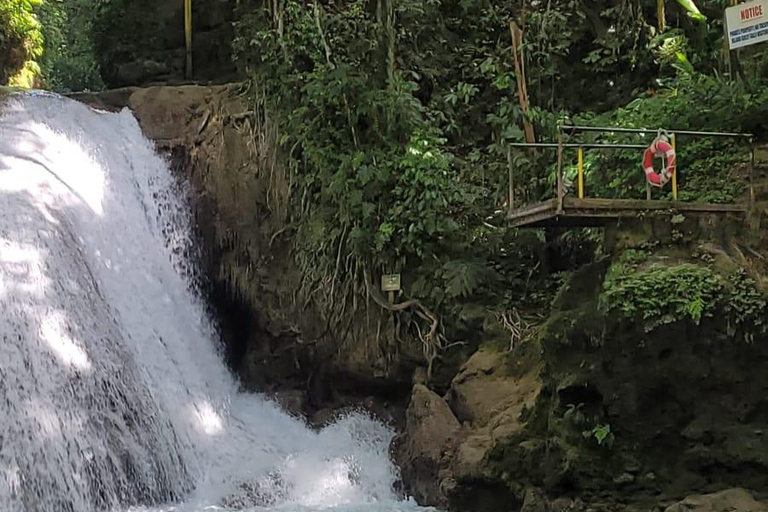 Montego Bay: Blue Hole & Horseback Riding Tour