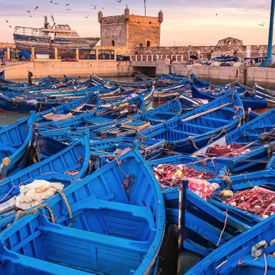 Depuis Marrakech : excursion d'une journée en petit groupe à la médina d'Essaouira