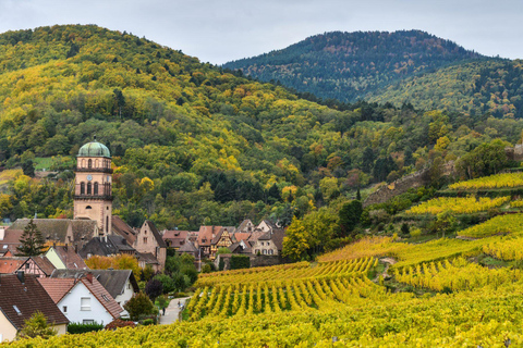 Alsace Wine Route: multi-stop convertible bus tour KUT'ZIG: April, May, June, October