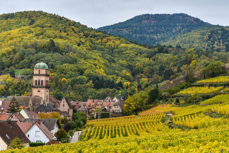 Alsace Wine Route: multi-stop convertible bus tour KUT'ZIG: April, May, June, October