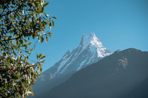 Kathmandu: Annapurna Sanctuary Wellness Trek ABC & Poon Hill From Pokhara: Standard package - Essential Adventure