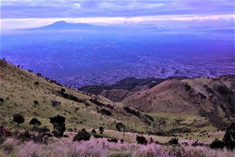 Von Yogyakarta aus: Berg Merbabu TageswanderungMount Merbabu Tageswanderung