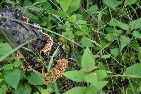 Senderismo en el parque Nacional Benito Juárez