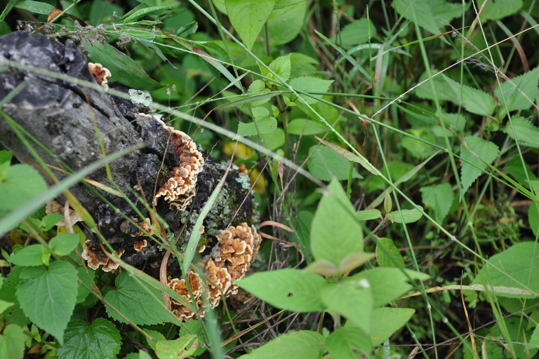 Senderismo en el parque Nacional Benito Juárez