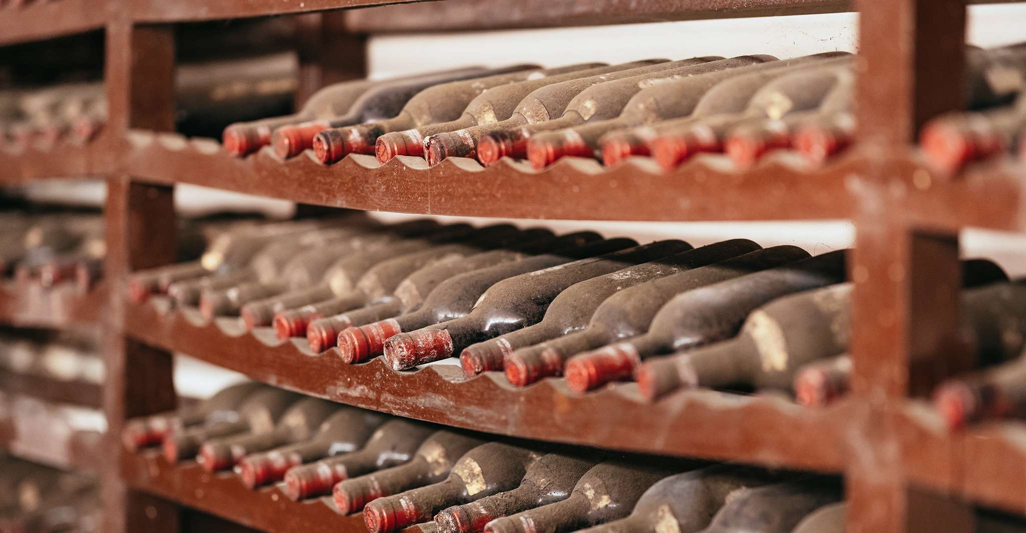 From Florence: Small Group Wine Tasting Tour to Tuscany photo 19