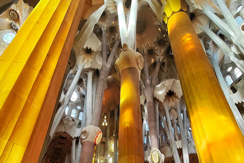 Visite privée de la Sagrada Familia avec billet d'entrée en anglais