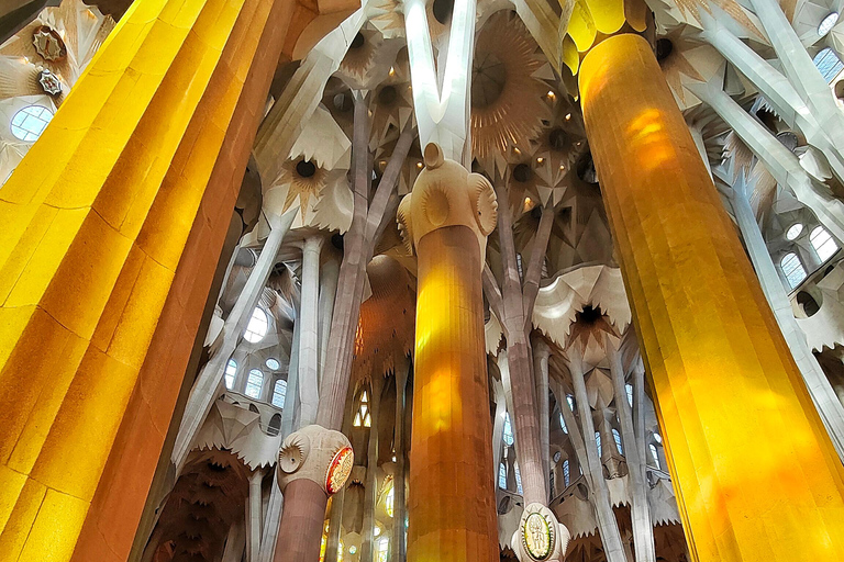 Visite privée de la Sagrada Familia avec billet d'entrée en anglais