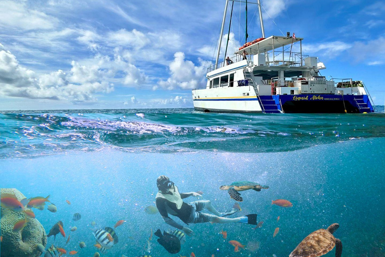 مغامرة الغوص مع سلحفاة وايكيكي