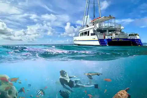 2- Hour Waikiki Snorkel Adventure
