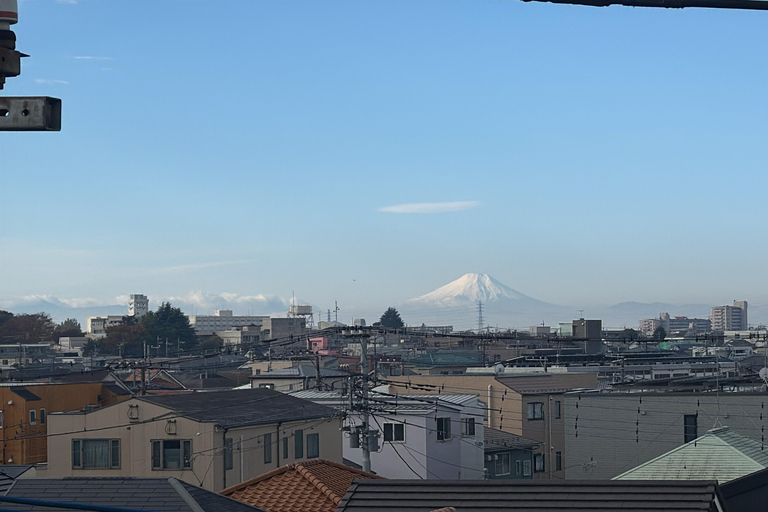 Mt Fuji Sightseeing Private tour with English Speaking Guide