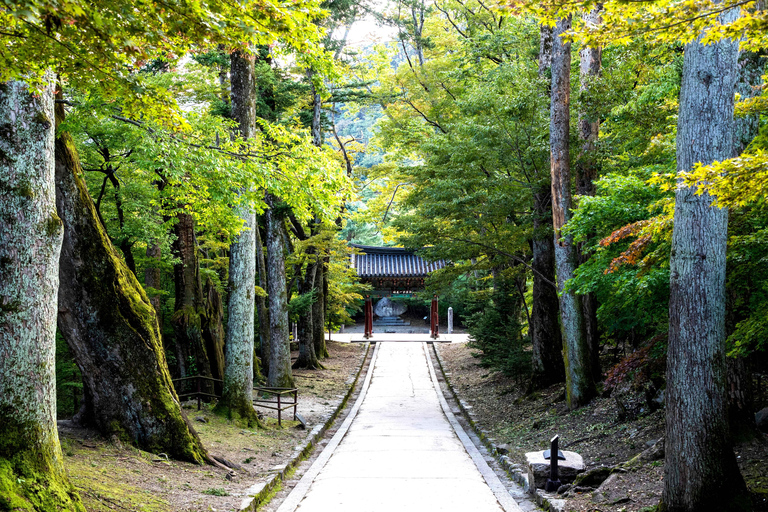Jeonju to Gyeongju/Busan via Haeinsa, Double UNESCO Site