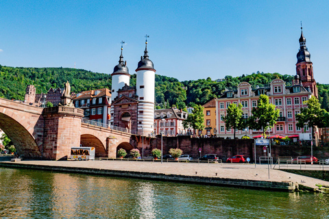 Heidelberg: Cruzeiro turístico pelo rio Neckar com uma bebidaHeidelberg: Cruzeiro turístico no rio Neckar