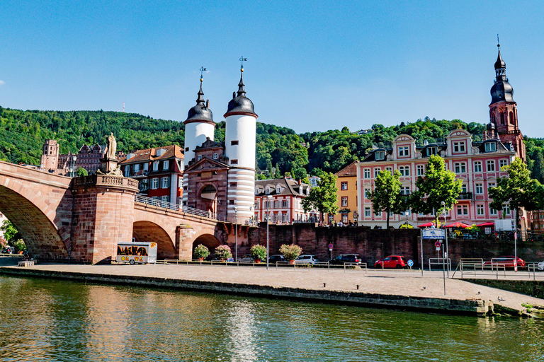 Heidelberg: Cruzeiro turístico pelo rio Neckar com uma bebidaHeidelberg: Cruzeiro turístico no rio Neckar