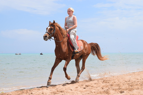 Hurghada: Swimming & Horse riding with FREE Photos & Videos 2-Hour Horse Swimming & Photos with Transfer