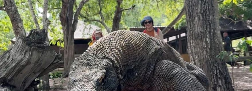 Excursion à terre sur l'île de Komodo pour les croisiéristes