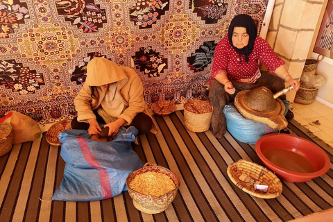 Marrakech: excursión guiada de un día a Essaouira