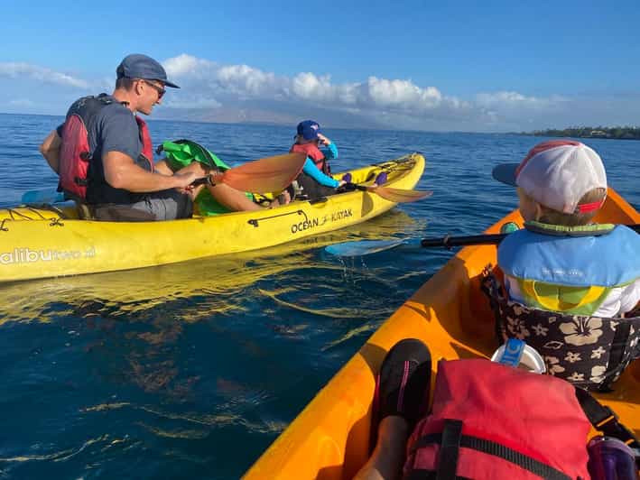 Uvita: Private Ocean Kayak & Snorkel Marino Ballena N. Park