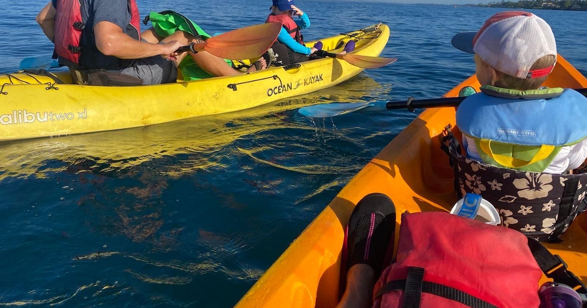Uvita Kayak de mer et plongée en apnée Marino Ballena N. Park