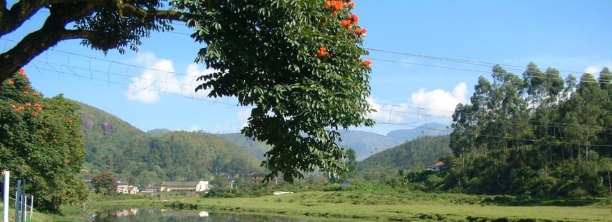 Visite du village de Munnar Letchmi Hills