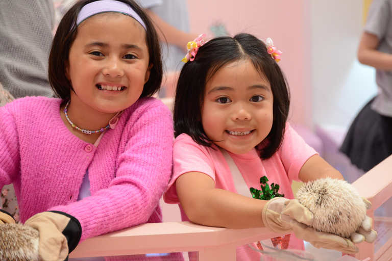 Tokio: Harajuku Family Friendly Guided Walking Tour