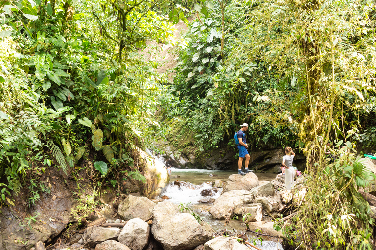 Quito-Mindo : Circuit des 7 cascades, Jardin des papillons, Circuit en quad