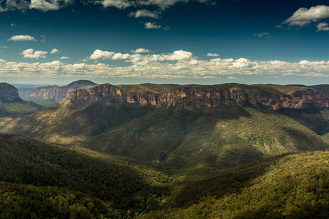 Intimate Blue Mountains Wild Kangaroos, Wilderness & Sunset