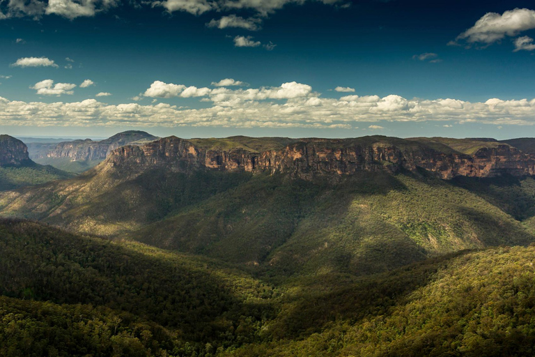 Intimate Blue Mountains Wild Kangaroos, Wilderness & Sunset