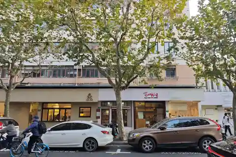 Concessão e história de Xangai: Visita numa Minivan