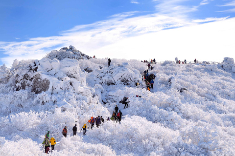 Från Seoul: Snötäckt skönhet i Deogyusan nationalpark