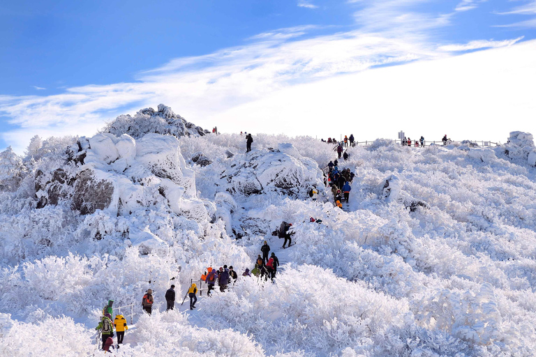 Vanuit Seoul: Met sneeuw bedekte schoonheid van Nationaal Park Deogyusan