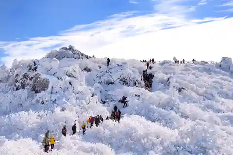 Desde Seúl: La belleza nevada del Parque Nacional Deogyusan