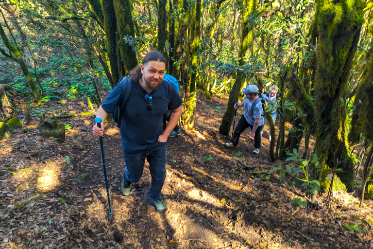 Tenerife: Hike Above Masca in Enchanted Forest with Pick-up
