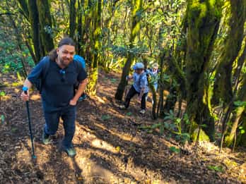 Tenerife: Tour a piedi sopra Masca e la Foresta Incantata