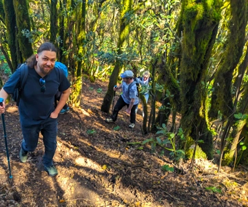 Tenerife: Hiking Tour Above Masca & Enchanted Forest
