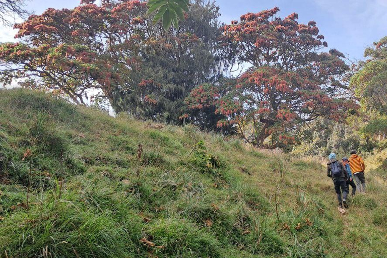 Addis Ababa: 6-Day Abijata Shalla NP & Bale Mountains Tour