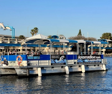 St. Augustine: Dolphin Tails & History Cruise